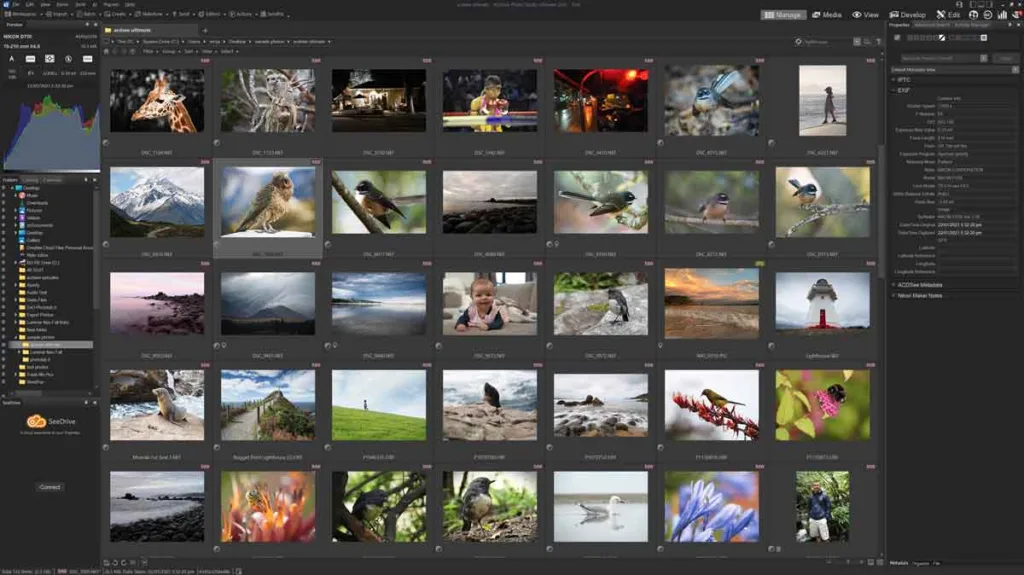 Acdsee Photo Studio Ultimate 2025 V18.1.0.4072 Best Photo Editing And Video Editing Software Acdsee Photo Studio Ultimate 2025 Full Version