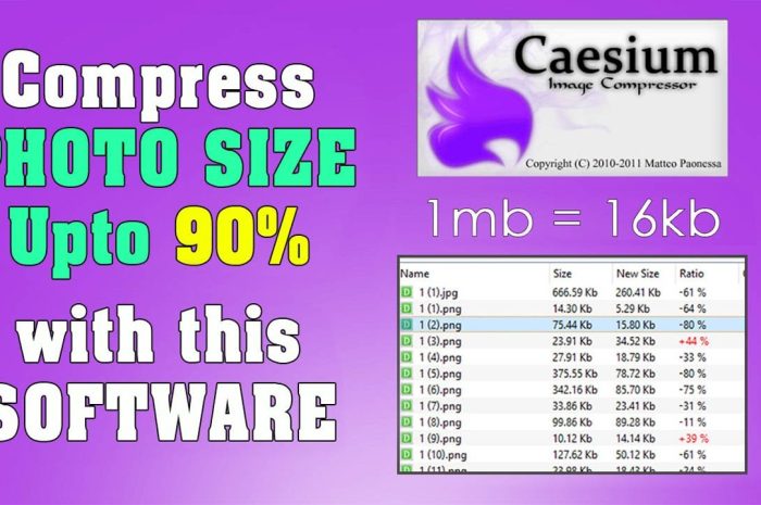 Caesium Image Compressor For Windows V2.7.0 Image Compressor Software