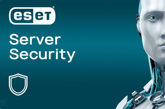 Eset Server Security For Windows V11.1.12005.2 Former Eset File Security For Microsoft Windows Server