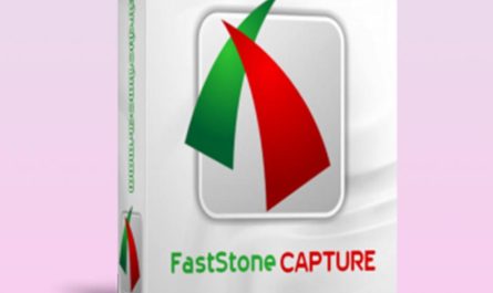 Faststone Capture 11 For Windows