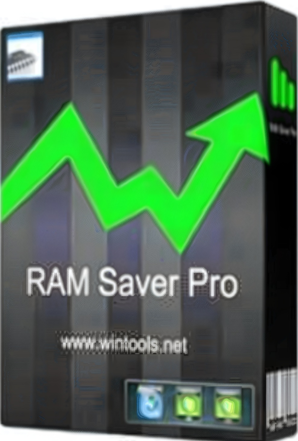 Ram Saver Professional Free Download 2