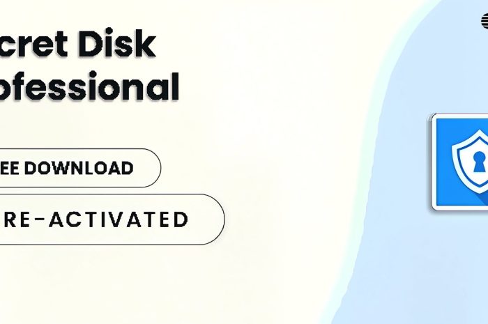Secret Disk Professional 2025 For Windows V306 Creates Additional Hidden Disk Protected With A Password