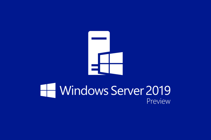 Windows Server 2019 V1809 Build 17763.3650 Standard/Datacenter Iso File