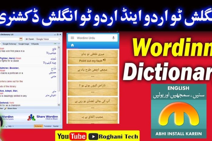 Wordinn English To Urdu Dictionary V1.1 Best Urdu Dictionary Software