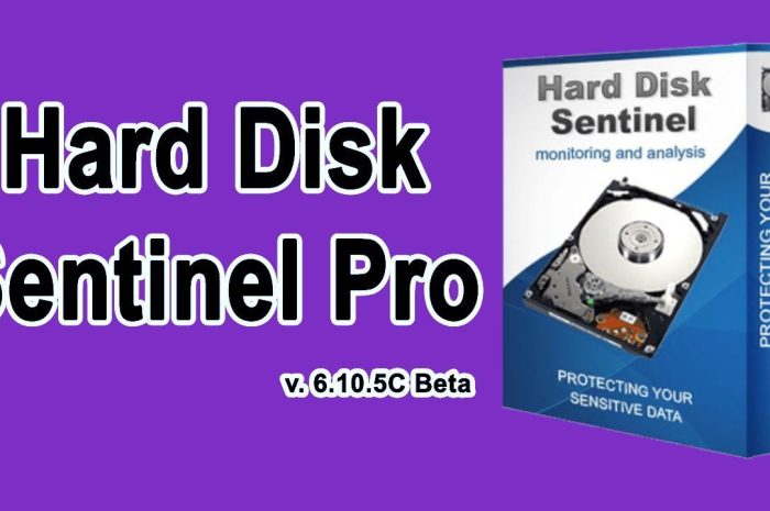 Hard Disk Sentinel Pro 6 For Windows V6.30 Hdd Health And Temperature Monitoring Software