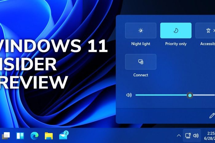 Windows 11 Insider Preview 24H2 Build 26120.3653 Iso Bypass (Tpm 2.0 Compliant) Bootable Iso Latest Version