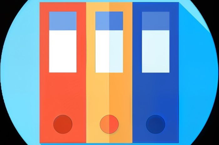 Easy File Organizer Premium V3.4.1 Best One Click File Organizer Software