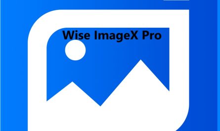 Wise Imagex Pro For Windows