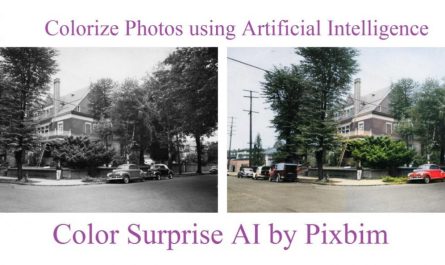 Download Pixbim Colorsurprise Ai Software