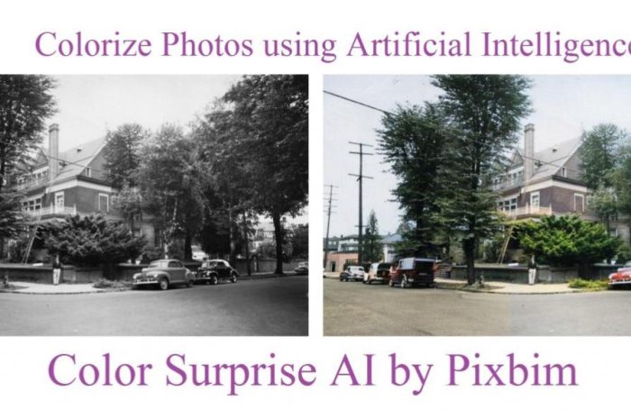 Pixbim Colorsurprise Ai For Windows V3.9.0 Super Creative Bw To Color Convertor Software