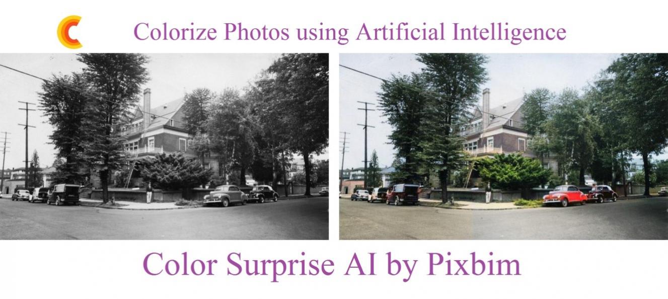 Pixbim Colorsurprise Ai For Windows V3.9.0 Super Creative Bw To Color Convertor Software Download Pixbim Colorsurprise Ai Software