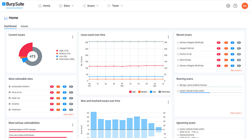 Burp Suite Professional V2025.4 Integrated Platform For Performing Security Testing Of Web Applications Burp Suite Professional For Windows 1 1
