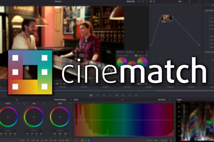 Filmconvert Cinematch 1.28 Best Color Grading Software For Your Video Editor Software