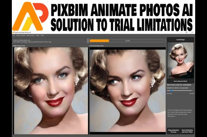 Pixbim Animate Photos Ai V2.1.7 Fix Blure Animate Photos Using Pixbim Animate Photos Ai