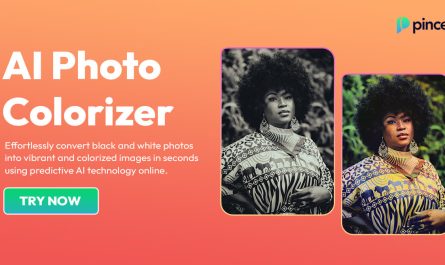 Ai Picture Colorizer Software