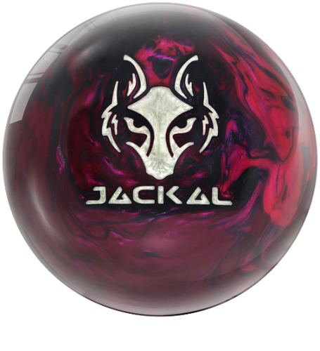 Jackal Photo Tools V1.0 Download Best Jackal Photo Collection Jackal Photo Tools Download Free