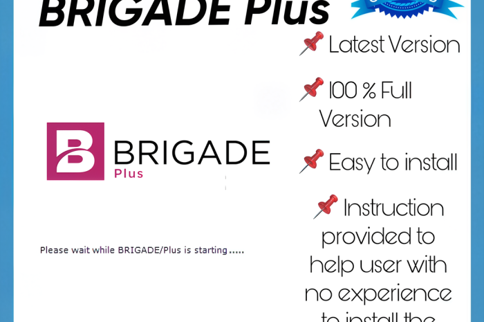 Technia Brigade Plus 2025 V1.0 Tool For Analysis And Design Of Bridges And Civil Structures