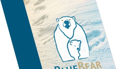 Bluebear Forensic Carver For Windows