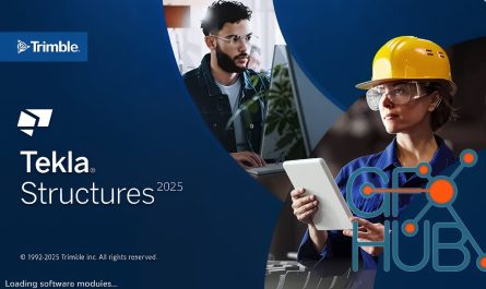 Tekla Structures 2025 Sp0 Software 2