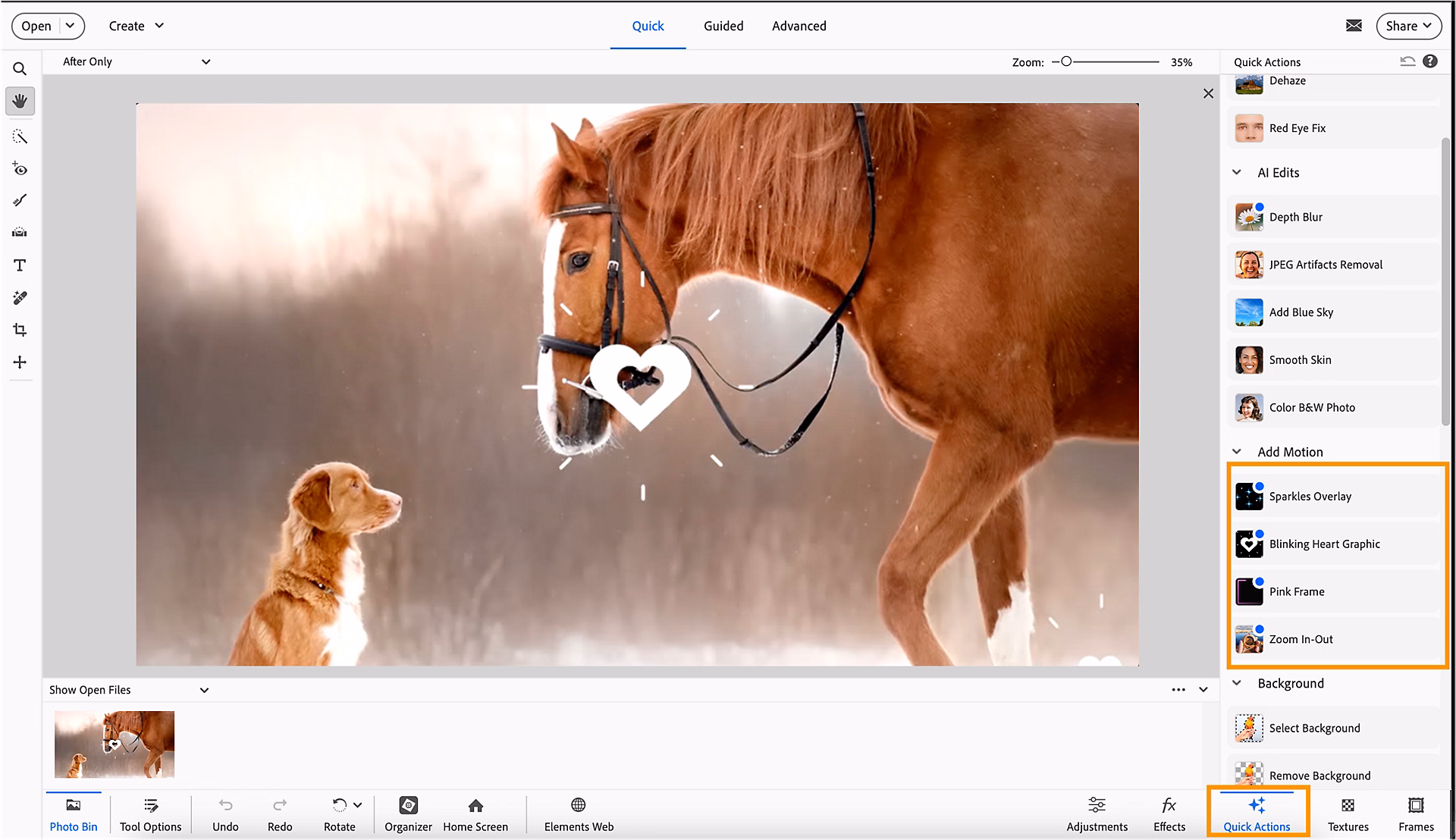 Adobe Photoshop Elements 2025 For Windows V25.2 Best Photos Editor Software For Beginner Photo Editing Seeker Adobe Photoshop Elements 2025 Free Download For Windows