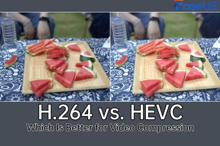 Hevc Pro For Windows V1.0.1 Professional And Efficient H.265 Video Compression Solution
