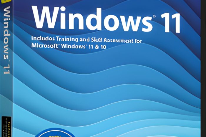 Professor Teaches Windows 11 V4.0 Realistic Training For Windows 11 And Windows 10