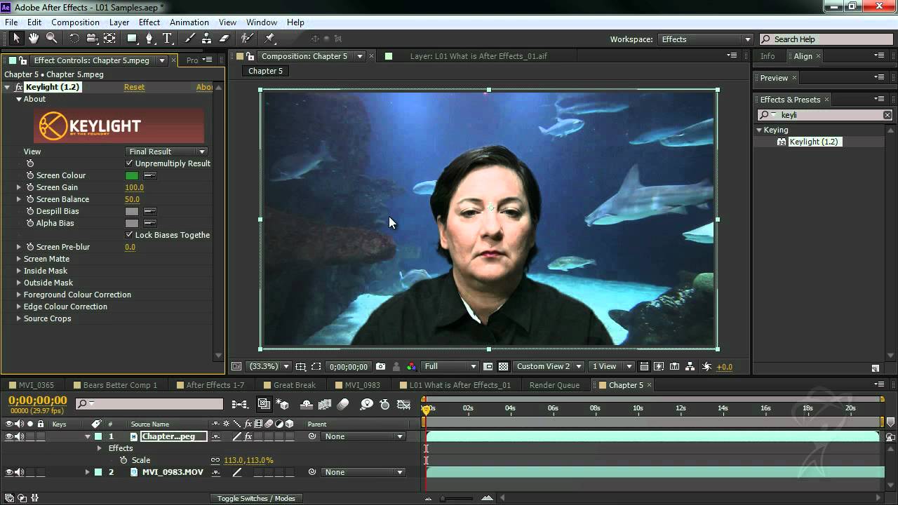 Adobe After Effects Cs6 For Windows V11.0.2 Highly Compressed 3D Animation Maker Software Adobe After Effect Cs6 With Keys For Windows Free Download