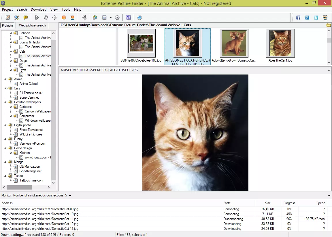 Extreme Picture Finder For Windows V3.67.1.1 Best Image, Video Downloader From Website Software Extreme Picture Finder Full Version For Pc