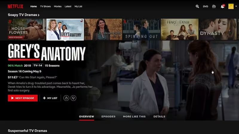 Netflix Crack Download Premium V5.1.2.527 Best Netflix Video Downloader Software Netflix For Windows 10 Free Download For Windows 7
