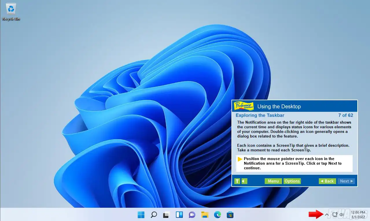 Professor Teaches Office 2019 &Amp; Windows 11 V1.0 Advanced Learning Of Ms Office And Windows 11 Course Download Professor Teaches Full Version